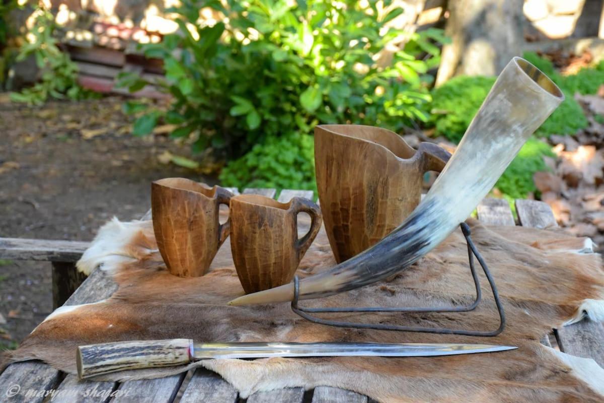 El Descanso De Odin ¡Una Autentica Posada Vikinga! Mataelpino Buitenkant foto