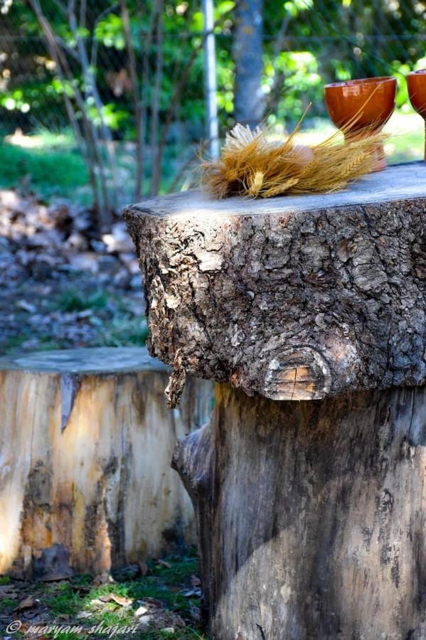 El Descanso De Odin ¡Una Autentica Posada Vikinga! Mataelpino Buitenkant foto